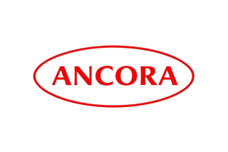 Rede Âncora