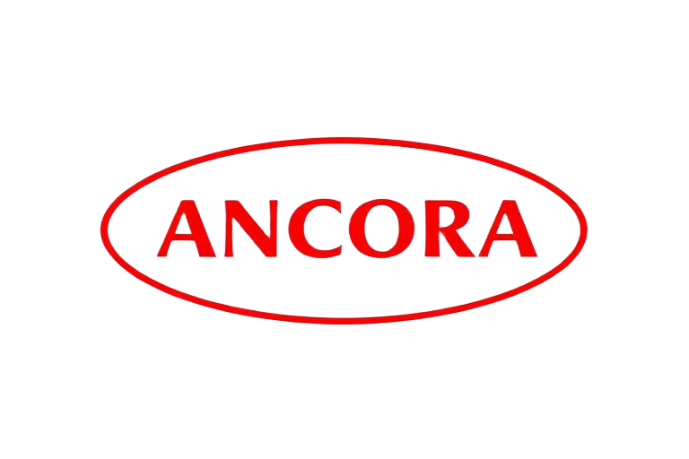 Rede Âncora